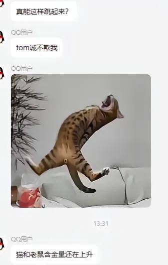 ＃猫猫#分享＃猫猫#分享
